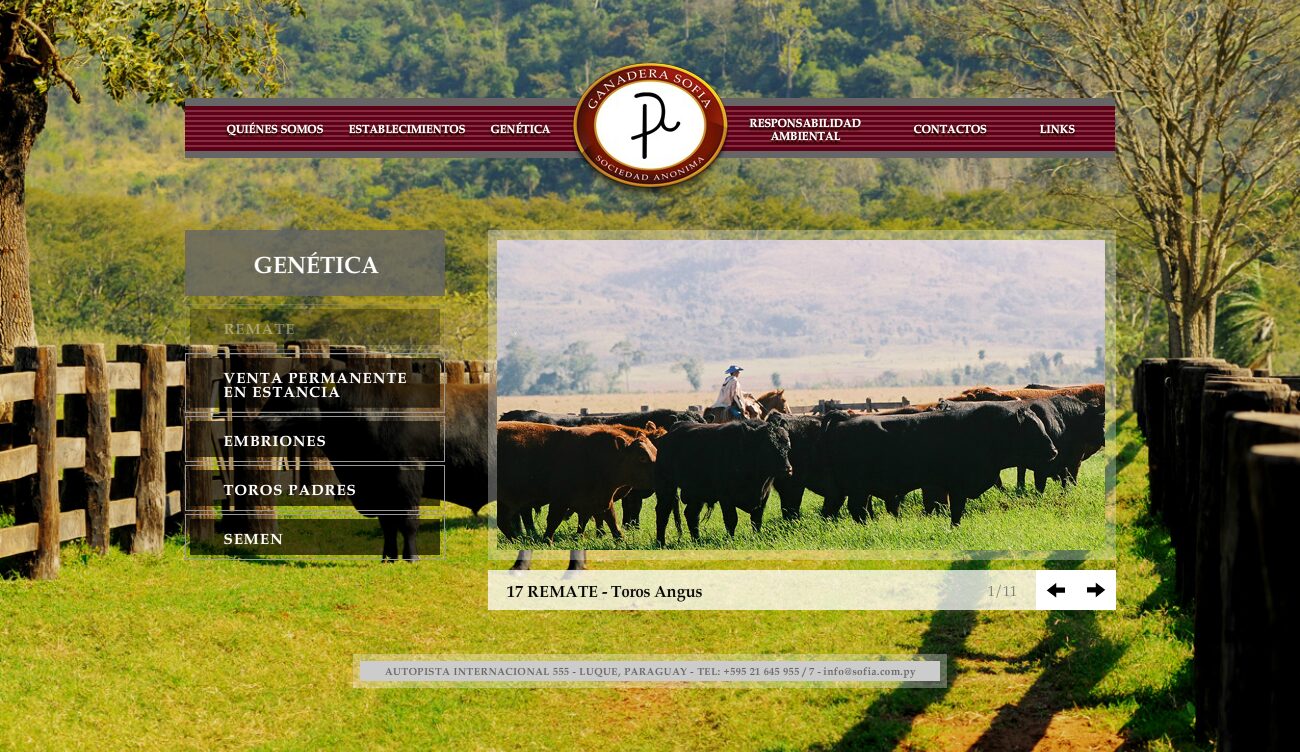 Genetics: auction, sale at the ranch, embryos, stud bulls and semen — Ganadera Sofía